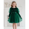 thumbnail image 5 of Toddler Girls Velvet Dresses Bubble Sleeve Dress Fall Winter Long Sleeves Dress for Holiday Party 1-6 Years, 5 of 8