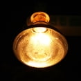thumbnail image 4 of Bombilla de Calor de Ganado, Lámpara de Calor con la Bombilla que protegida a la explosión de 220V a Prueba de Agua impermeable para el HOGAR, 4 of 7