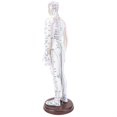 thumbnail image 1 of 52cm Acupuncture Model Human Body Model with Base for Teaching Demonstration PVC Material, 1 of 7