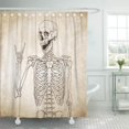 thumbnail image 1 of Cortina de Ducha ABPHQTO Cuerpo esqueleto humano 165x180 cm impermeable, 1 of 2