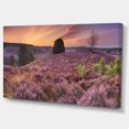 thumbnail image 2 of Blooming Heather at Dawn Panorama - Landscape Canvas Art Print, 2 of 3