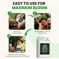 thumbnail image 5 of Humboldts Secret Flower Stacker | 0-7-5 Bloom Booster with Vitamin B1 | High Phosphorus Potassium Flowering Nutrients | Potting Soil Hydroponics Coco | Indoor & Outdoor Plants | 1 Gallon, 5 of 10