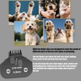 thumbnail image 4 of Cuchillas de acero para aseo canino, compatibles con YAZIYIR, paquete de 3 unidades, 5/8N, 4 of 6