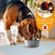thumbnail image 4 of Estera de silicona para alimentación de mascotas, mantel individual para perros y gatos, esteras impermeables antideslizantes para cuencos para mascotas, 4 of 6