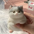 thumbnail image 7 of Xecvkr Quiet Fidget Toys Soft Toy Stress Relief Plush Extra Soft 4.9in X 3.9in Cute Cat Soft Sensory Fidget Toy Holiday Gift Cuddle Pillow for Kids Adults Relaxation 1 Piece, 7 of 7