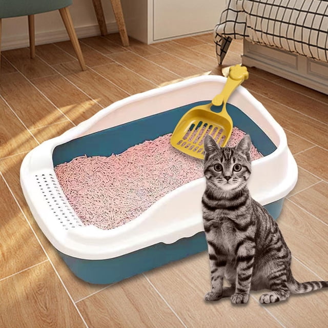 Caja de Arena para Gatos Fernando con Tapa Abierta Bandeja de Arena Baño Profundo Azul M 31x21x16cm