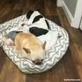 thumbnail image 5 of Barkertime Black and White Gingham Premium Waterproof Premium Dog Diaper - Made in USA, 5 of 10