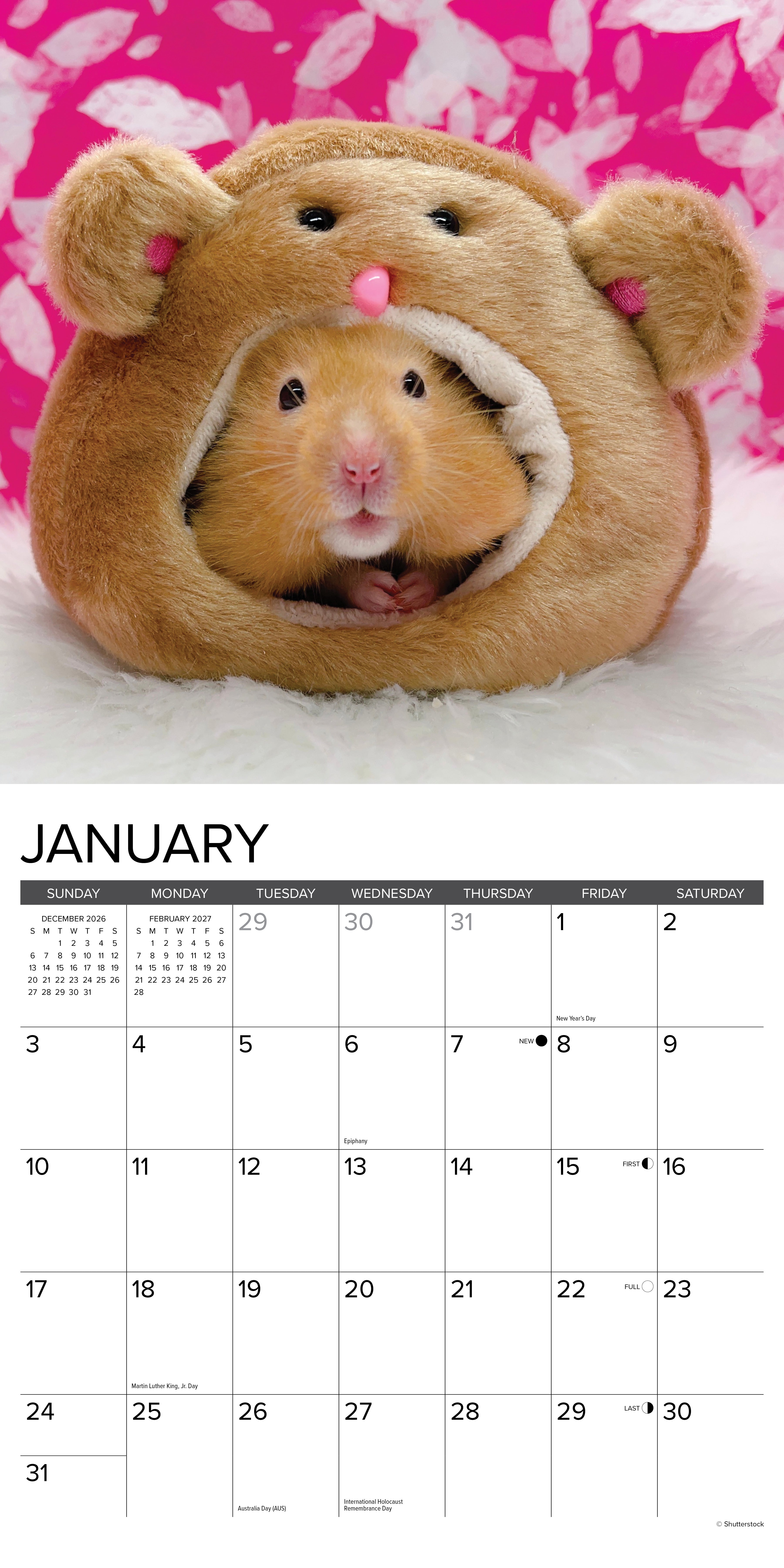 Willow Creek Press, Hamsters 2027 Wall Calendar
