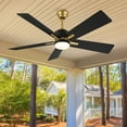 thumbnail image 4 of DWVO 52 Inch 5-Blade Downrod Mount Smart Ceiling Fan With Light and Remote Control & APP Control - Black/Gold, 4 of 8