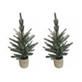 thumbnail image 2 of Melrose International Pine Tree in Plastic Pot (Set of 2), 2 of 2