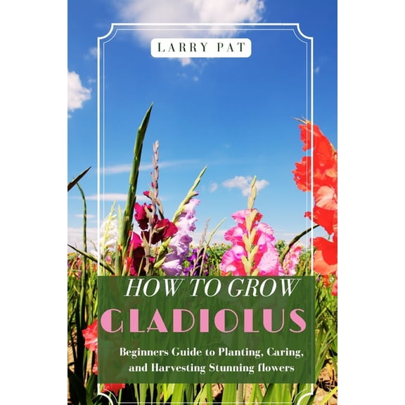 How to Grow Gladiolus: Beginners guide to planting, caring and harvesting stunning flowers, (Paperback)