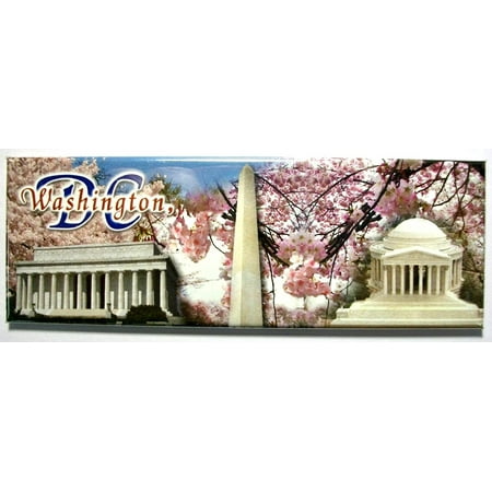 Washington D.C. Cherry Blossom Panoramic Fridge