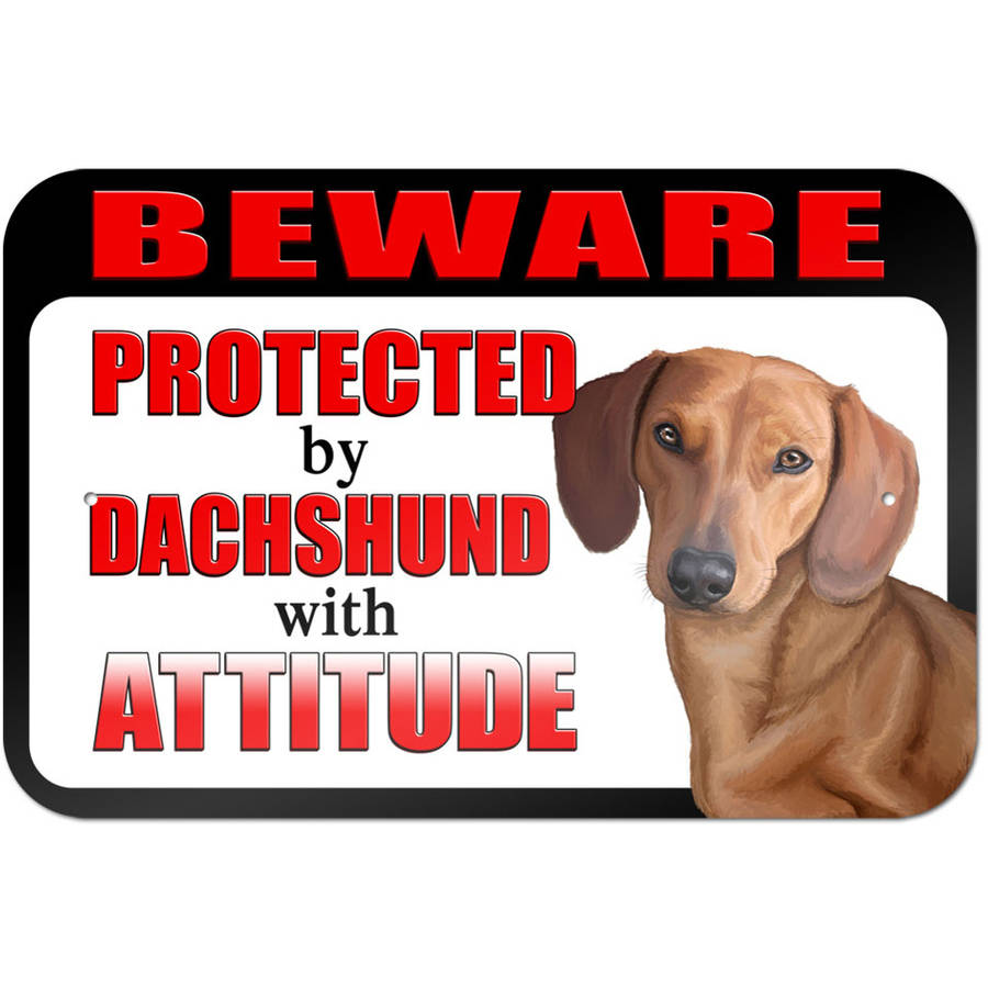 beware of dachshund sign