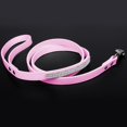 thumbnail image 3 of Dog Leash - Dog Leash For Medium Small Dogs/cats Training Walking And Running Red, 3 of 5