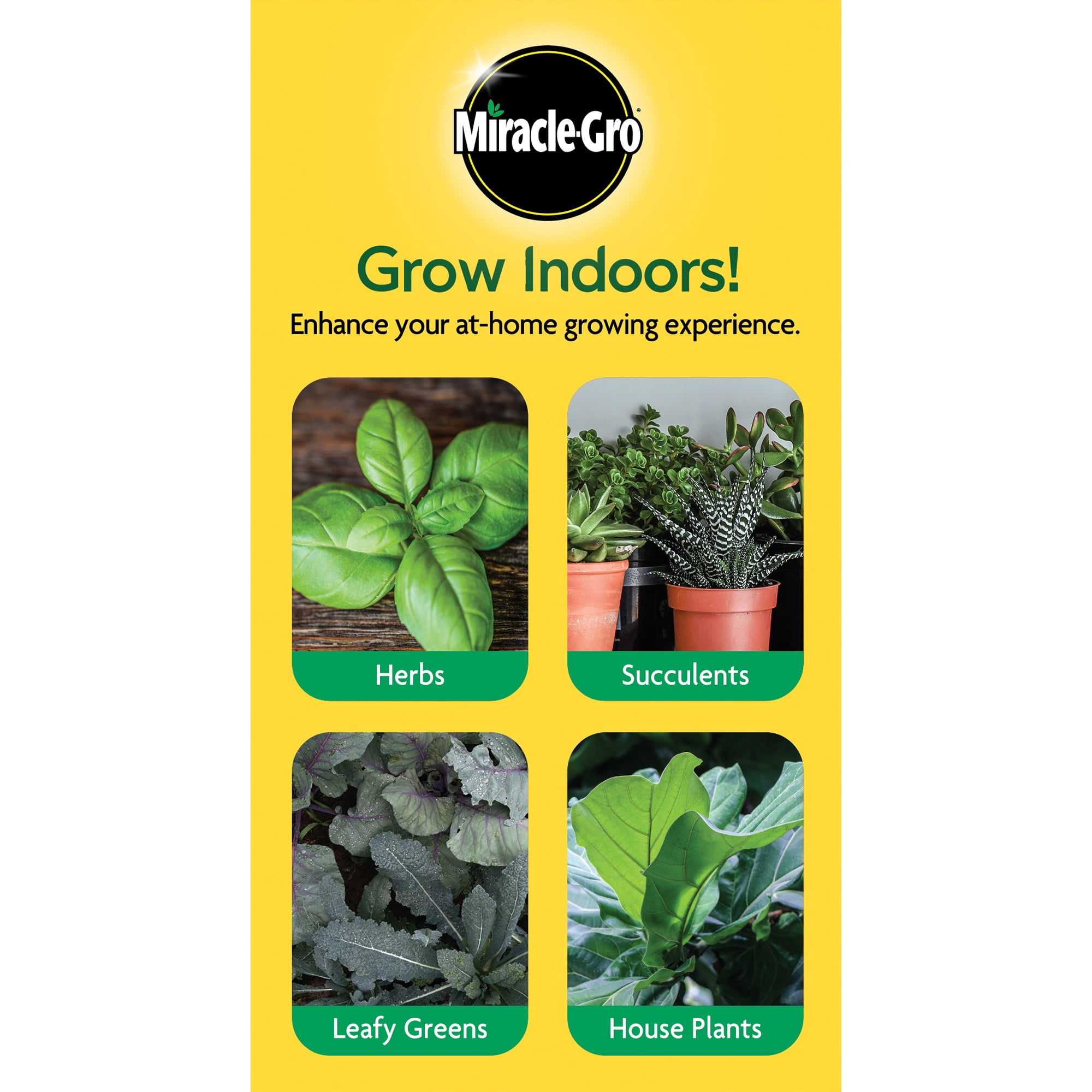 MG A19 GROW BLB