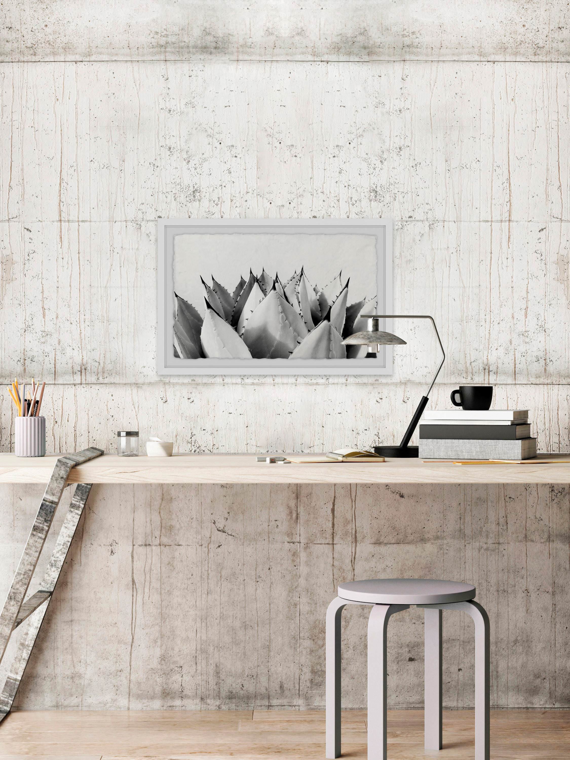 Sweet Succulents II Framed Painting Print