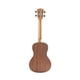 thumbnail image 3 of Kit de inicio de ukelele Kala Learn to Play Concert, caoba satinada, 3 of 7
