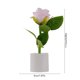 thumbnail image 3 of Uuiauoio Artificial LED Rose Night Light in Pot, Battery Powered Flameless Flower Lamp, for Bedroom Desk Decor, Valentines Day Gift for Her, Wedding Anniversary Home Decoration Ambient Light, 3 of 6