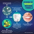 thumbnail image 3 of GuruNanda Dual Barrel Oxyburst Whitening Mouthwash - with Hydrogen Peroxide - Alcohol & Fluoride Free Rinse, Wild Mint Flavor - (20 Fl Oz x3), 3 of 9