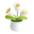 thumbnail image 2 of Giunmcul My Order Crochet Flowers Potted Home Ornament Potted Crochet Woven Flowers, 2 of 5
