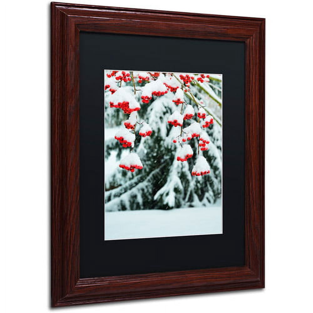 Trademark Fine Art "Winter Berries and Pine" Canvas Art by Kurt Shaffer Black Matte, Wood Frame