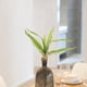thumbnail image 2 of Planta artificial resistente al desgaste para el hogar, decorativa, para el hogar, 2 of 5