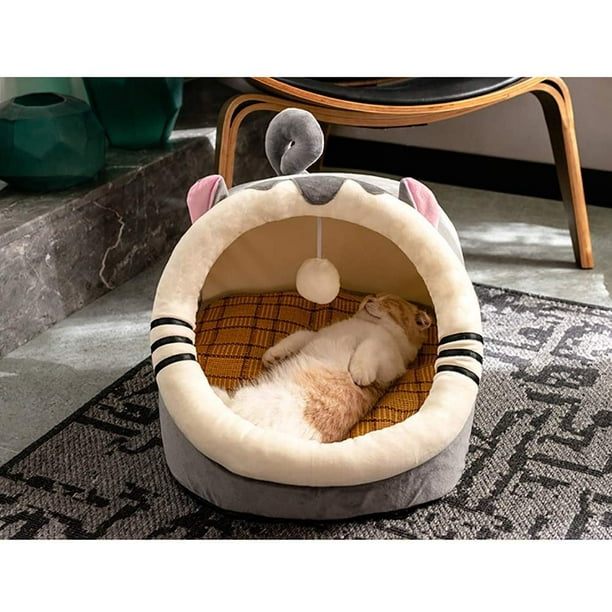 Dog top covered bed