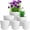 White, variant on NOGIS 7.5/6.7/5.9/5.1/4.5/3.5 inch Plant Pots, 6 Pack Flower Pots for Small Indoor Outdoor Plants, Plastic Planters with Drainage Holes and Saucers for Garden Succulent House Plants, Green
