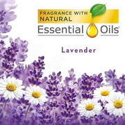 Air Wick Freshmatic Refill Automatic Spray, Lavender & Chamomile, 6.17oz, Air Freshener