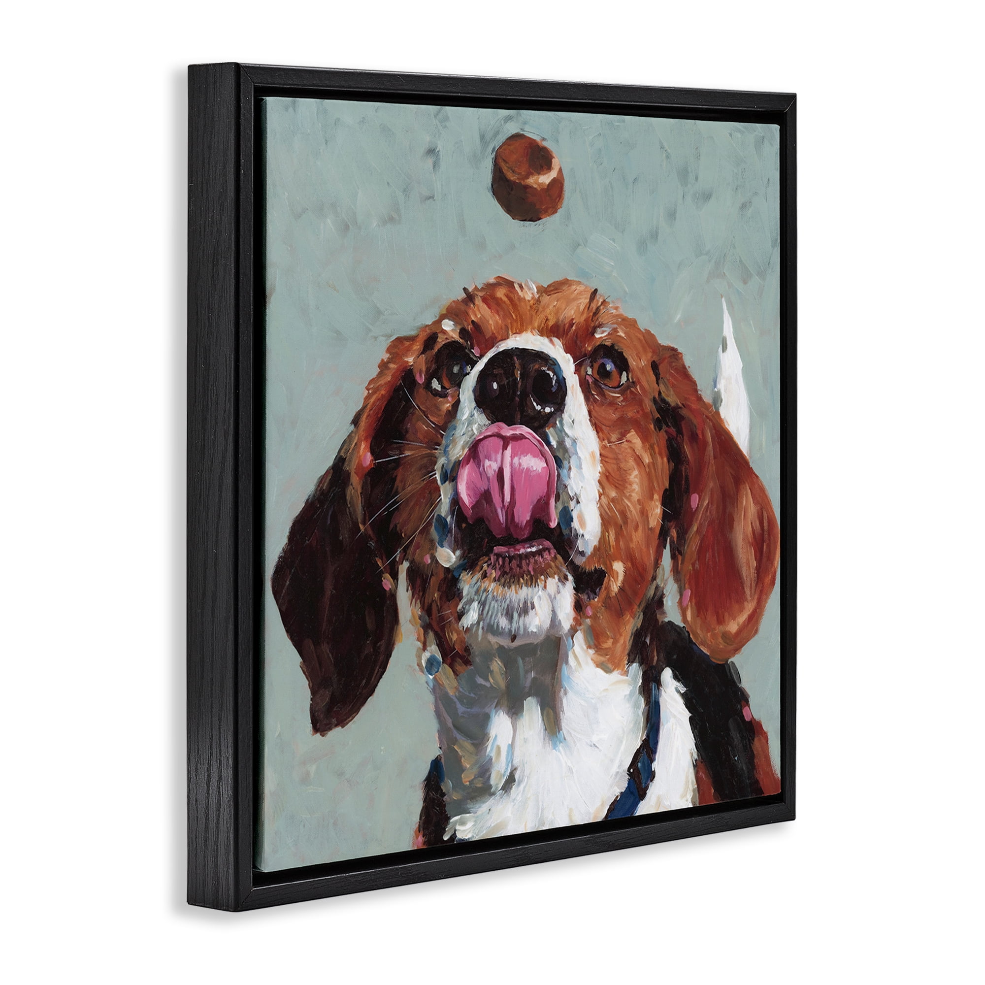 Stupell Industries Beagle Treat Excitement Black Framed Floater Canvas Wall Art, design by Studio Bautista
