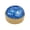Clear Blue, variant on Shiny Glitter Dumpling Squishy Squeeze Ball with Steamer Base, 3.74" Slow Rising Squishies Bun Stress Relief Fidget Ball