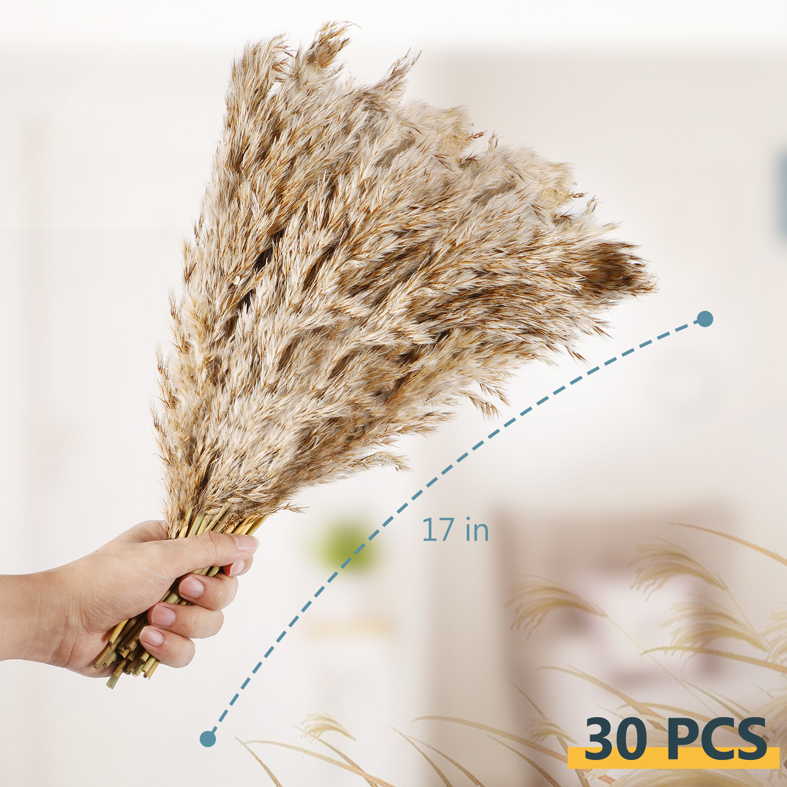 30 Pcs Natural Dried Pampas Grass Decor Brown Bouquet Dried Flowers