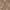 Paprika, variant on Addison Rugs Chantille Indoor/Outdoor Transitional Moroccan Beige Washable Rectangle Rug, 10' x 14'