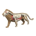 thumbnail image 2 of jiaping Animal Body Model Classroom Body Organ Parts for Study Tool Ages 8+ Children 3108, 2 of 8