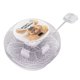 thumbnail image 2 of Incubadora de huevos Mini incubadora automática de 12 huevos con cubierta aislante totalmente transparente para incubar aves de corral enchufe estadounidense 110V, 2 of 13