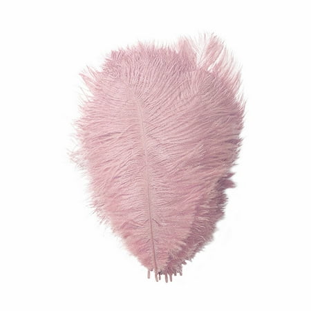 BINGLI Feather 9.2 inch Or So Stage Props Feather Wall Decorate Hair and Clothes Color Feathers with Multiple Types to Choose