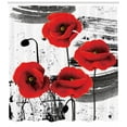 thumbnail image 3 of Ambesonne Poppy Flower Shower Curtain, Grunge Brush Flowers, 69"Wx84"L, Vermilion Grey, 3 of 3