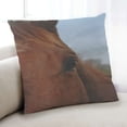 thumbnail image 1 of Ahgly Company Coussin d'Intérieur Animaux Cheval, 18 Pouces par 18 Pouces, 1 of 6