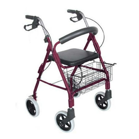 Briggs Healthcare Lightweight Rolling Walker
