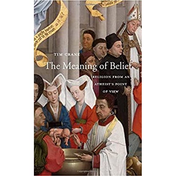 Pre-Owned The Meaning of Belief: Religion from an Atheist's Point of View (Hardcover) 0674088832 9780674088832