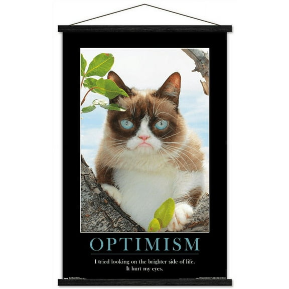 Grumpy Cat - The Brighter Side Wall Poster with Magnetic Frame, 22.375" x 34"