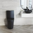 St. Tropez OnePiece Elongated Toilet Vortex DualFlush in Matte Black