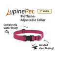 thumbnail image 2 of Collar para perro LupinePet impermeable BioThane de 2,5 cm de ancho, 2 of 6