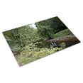 thumbnail image 3 of Print: Rock Creek Park, NW, Washington, D.C., 2010, 3 of 4