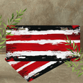 thumbnail image 4 of 1 Pcs Durable License Plate Covers & Frames, Abstract Flag For Decorative Front, Waterproof For Decoration Aluminum License Plate Covers & Frames Cover For Men Women, 12" X 6", 4 of 6