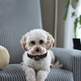 thumbnail image 2 of OULII 1Pcs for Dog Collar Black Neoprene Tracking Device for Pets, 2 of 7