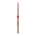 thumbnail image 1 of Rouges à Lèvres pour Femmes, Crayon Contour des Lèvres Automatique Rotatif, Petit Lot, Stylo Rouge à Lèvres Imperméable, Longue Tenue, Mat, Féminin, Crayon à Lèvres à Ligne Crochet, Maquillage, 1 of 6