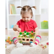 Coogam Montessori Fine Motor Toys for Baby Toddler, Wooden Shape Sorter Carrot Harvest Game for 2 3 4 Year Old