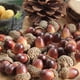 thumbnail image 3 of Injueey Juego de 50 mini bellotas de PVC para decoración, 50 nueces de roble artificiales para la decoración de la de Acción de Gracias Plantas Artificiales, 3 of 6