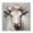 Pearl Cow Floral Crown, variant on Stupell Industries Cottage Fluffy Floral Alpaca Black Floating Frame Canvas Art, 18 x 18, by Elizabeth Tyndall
